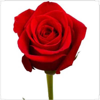 Nxumalnm's profile picture. A woman of worth..African... .Bhakaniya. ... my retweets are not endorsements.