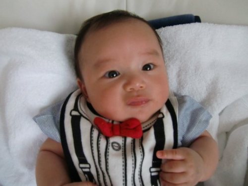 binbintoshichan's profile picture. 