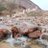 AIharbi_F15's profile image
