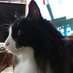 Patricia Robertson (@patrici50952853) Twitter profile photo Patricia Robertson (@patrici50952853) Twitter profile photo