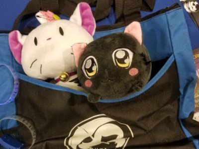 melissa_vee's profile picture. 