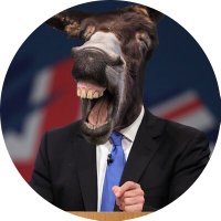 Led By Donkeys(@LedbyDonkey) 's Twitter Profileg
