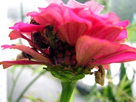 LaboCoeurBlanc's profile picture. Photographe Scientifique / Artiste Design
Des créations artistiques uniques et un Concept innovateur de recherche en chimie/physique