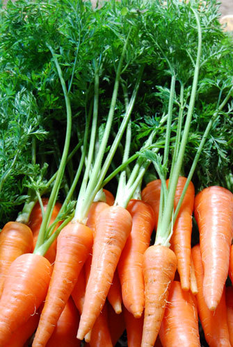 micccan_htkb's profile picture. 