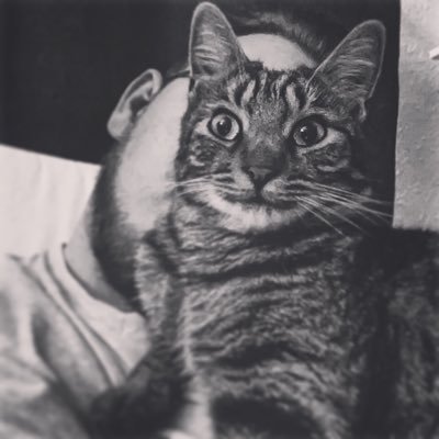 Choleriker1's profile picture. Katzen dies das, dicke Ärsche und  ne menge Blödsinn. ♏️