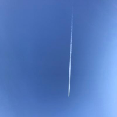 Alecs30253409's profile picture. 