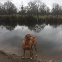 Rachel (@rachels_writing) 's Twitter Profile