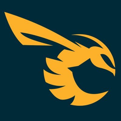 Utah Stingers Profile