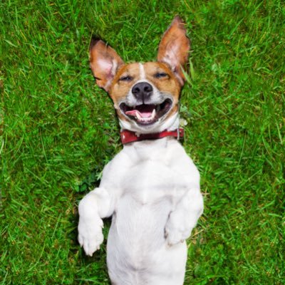Just sharing happy stuff. Mainly animals 💚 A 💩 free zone!