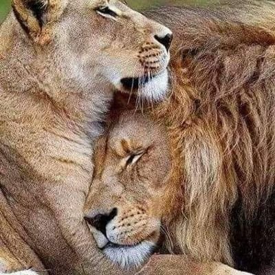 اغرقتنا الدنيا بهمومها وتغريداتي سيل من تراكم مشوارها