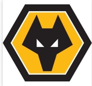 WolffTalk's profile picture. 