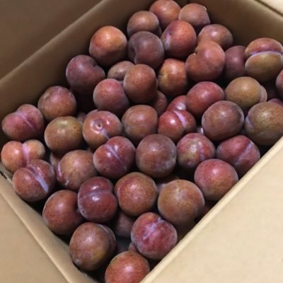 AmeMuLINH82us58's profile picture. ロム専用鍵垢です。成人済。好きなジャンルの関係上、一切鍵を外す予定は御座いません。 もし不手際があればお手数ですがご連絡をお願い致します。無言フォロー申し訳御座いませんm(_ _)m