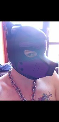 Pup/slave boy in North east Scotland. Enjoy taking orders from doms and love being naked outdoors