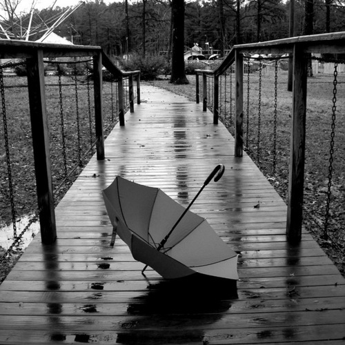 Susie400's profile picture. Sustainsight 편집장 겸 대표이사