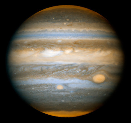 TokyoPrimeTime's profile picture. 