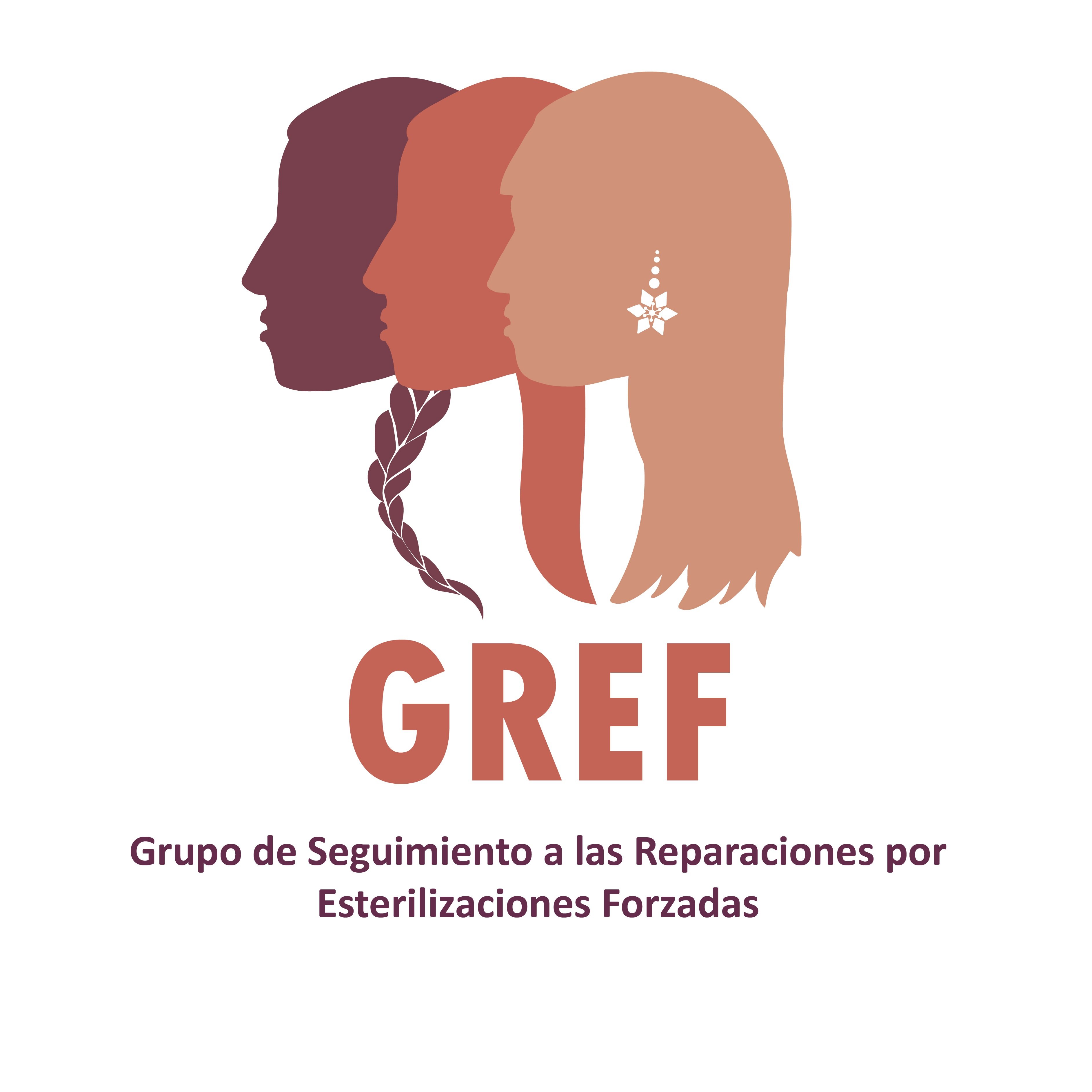 Grupo de Seguimiento a las Reparaciones por Esterilizaciones Forzadas en Perú