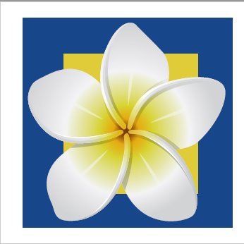 Visit Fiji Cancer Society Profile