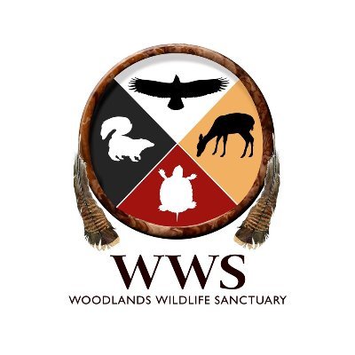 WWSanctuary Profile Picture