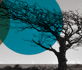 terraintegra's profile picture. Energy for Life. Human rights must include access to energy, transport & communication. Life quality for billions who are energyless, transportless, uninformed.