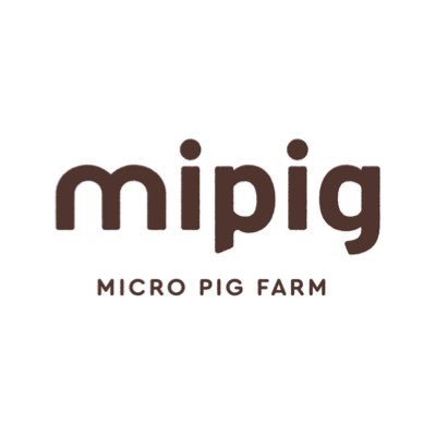 日本初マイクロブタ国内ファーム“mipig”を運営&販売/ブタさんの誕生から日々の暮らしをサポート/1400匹以上に引渡し実績有🤝お迎え検討の方は、サイトをご覧ください🐽