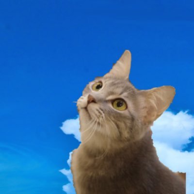 エレファントカシマシが好きです。 エレカシ情報収集とエレカシファンの方達と繋がりたい一心でtwitterなるものに挑戦してます。エレカシ同世代♀。夫1人、とっくに成人済みの子2人。 エビバデの皆さま、どうぞよろしくお願いします!