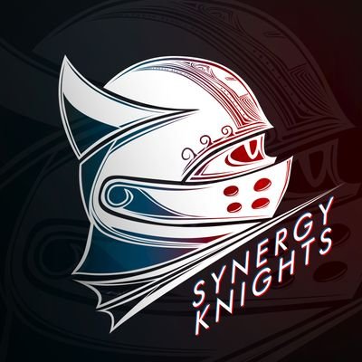 ζκ • Synergy Knights Profile