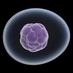 Stem Cell Org (@stemcellorg) Twitter profile photo Stem Cell Org (@stemcellorg) Twitter profile photo