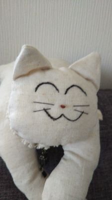 我が光る君 浜田省吾さんを想う♡( ⸝⸝•ᴗ•⸝⸝ )The Moonlight Cats Radio Show♪ 健康1番Roadは2番 健康な心と身体で🌸RSメンバー🌠フォローするのが苦手🍀私の言葉は私のものだよ✈️浜田さんを中心に呟きます🕶️Twitter用語使用 DMでの初めましてに返信しません🙇