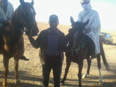 BoualemLouati's profile picture. retraite