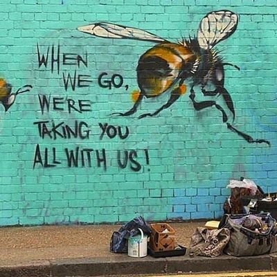 MarkusReitze's profile picture. 