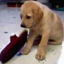 catherine cottrell - @cottrec - Twitter