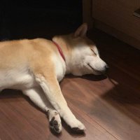 BWhang (@whang_b) 's Twitter Profile