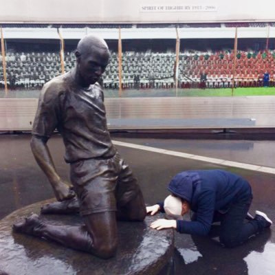 ShnepelleShow's profile picture. Every dog has its day - and today is Tuesday.