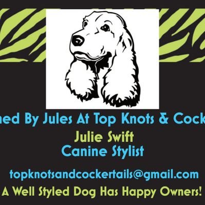 Joolz, Retired Pet Stylist at Top Knots & Cocker Tails. Quality, Competition winning, C&G qualified, Show, Salon & Creative styling.