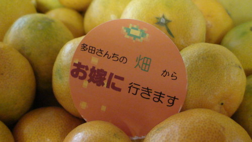 korokoromikann's profile picture. 専業農家に嫁いで？？年ようやくみかん作りが好きになって来ました。女ー男ー女３人の子供の母ちゃんです。仕事中は、ABC1008のリスナーをやってます。うちの家族みたいに仲良しだから。