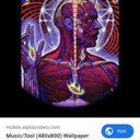 seth lawson - @sethlaw97895650 - Twitter