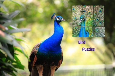 Tlice is a photo puzzle game, where you can solve the photo puzzle by drag and drop the photo slices. There are thousands of puzzles Tlice is completely free.