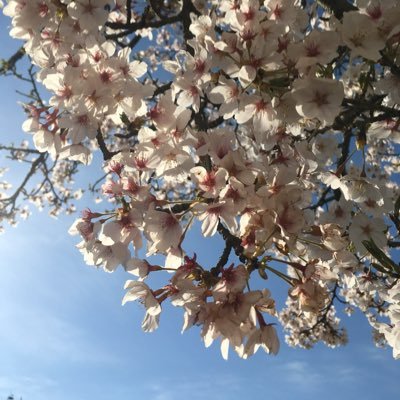 jTriQyUhWRfZHcf's profile picture. 