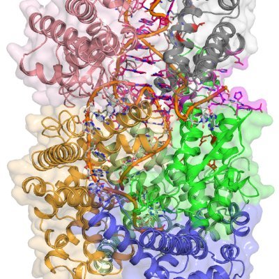 research group leader @LMU_Muenchen
structural biology
chemical biology
nucleic acids