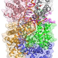 Sabine Schneider (@sschneider_lab) 's Twitter Profile