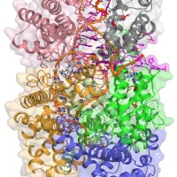 Sabine Schneider(@sschneider_lab) 's Twitter Profileg