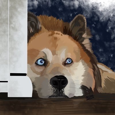 ココアからそらへ🐾さんのプロフィール画像