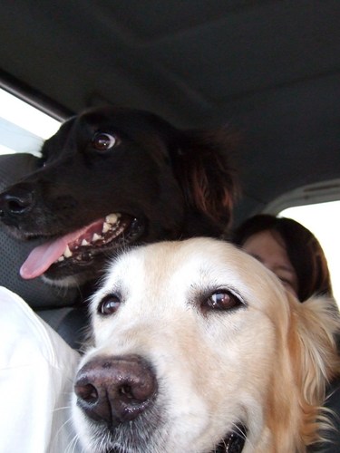 Joie0518's profile picture. グローバル IT 企業約20年経て｜経組織開発＆カルチャー耕してます｜パーソナルコーチ→心の壁打ち｜コーチング＆メンタリング🍀｜時々ヨガティーチャー｜ 好きなこと→自由｜その人の人生の轍をみるコーチ
🌞組織でも個人でも働く楽しさ生きる素晴らしさ、時に苦しさを味わったり、手放したりをご一緒しましょう🌙