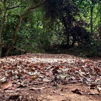 Mg (@mgvijp) 's Twitter Profile