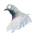Paranoid Pigeon (@pigeonparanoid) Twitter profile photo Paranoid Pigeon (@pigeonparanoid) Twitter profile photo