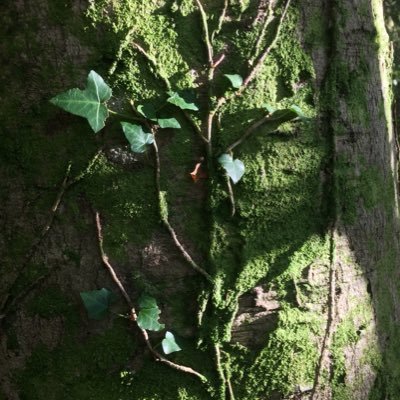 Woman on the hedge, I do no harm but take no shit⚡️ Resistance Is Fertile 🌱 Stay Human 💚