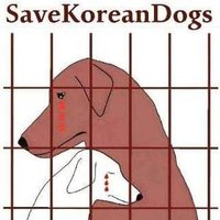 SaveKoreanDogs_SKDTT(@SKD_TT) 's Twitter Profile Photo