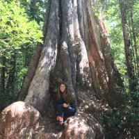 Harriet McInerney (@hatmcinerney) 's Twitter Profile