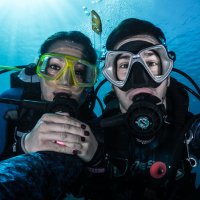 Matteo Monti, PhD (@scubamettiu) 's Twitter Profile