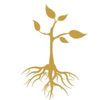 4Roots Campus (@4rootscampus) 's Twitter Profile
